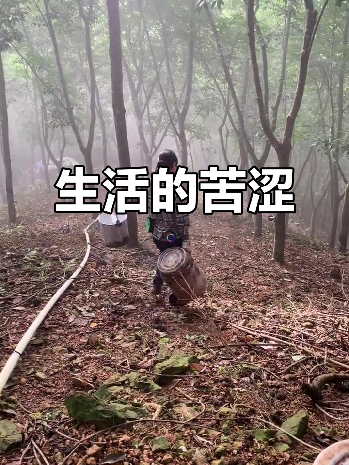 B体育-利雅得纳萨尔将迎来激烈挑战(2025利雅得胜利哈萨征服直播最新)