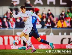 齐勒德甲11小时前1跟帖1