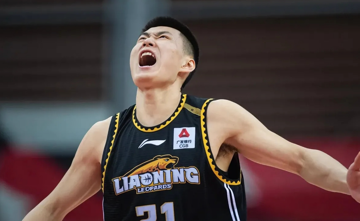 b体育娱乐-辽宁队球员表现出色队伍士气高涨的简单介绍