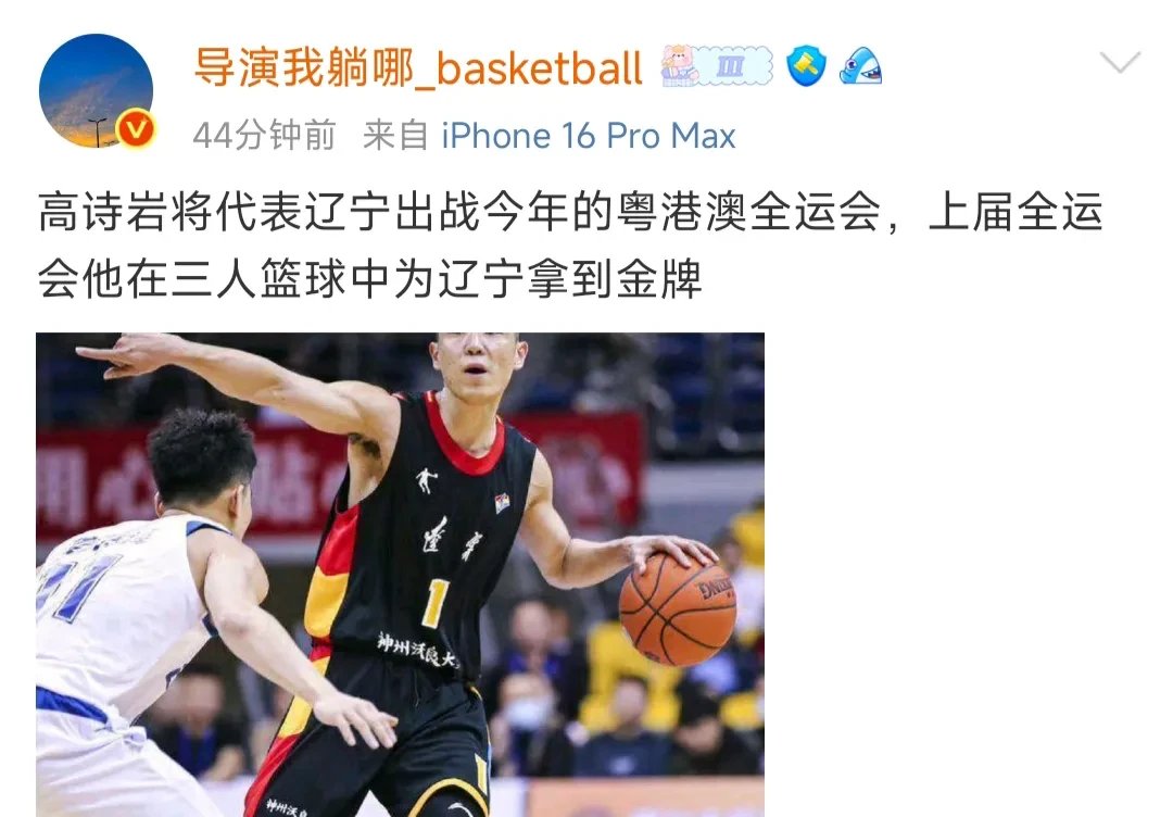 b体育 官网-辽宁飞豹队豪取连胜，冲击季后赛权杖