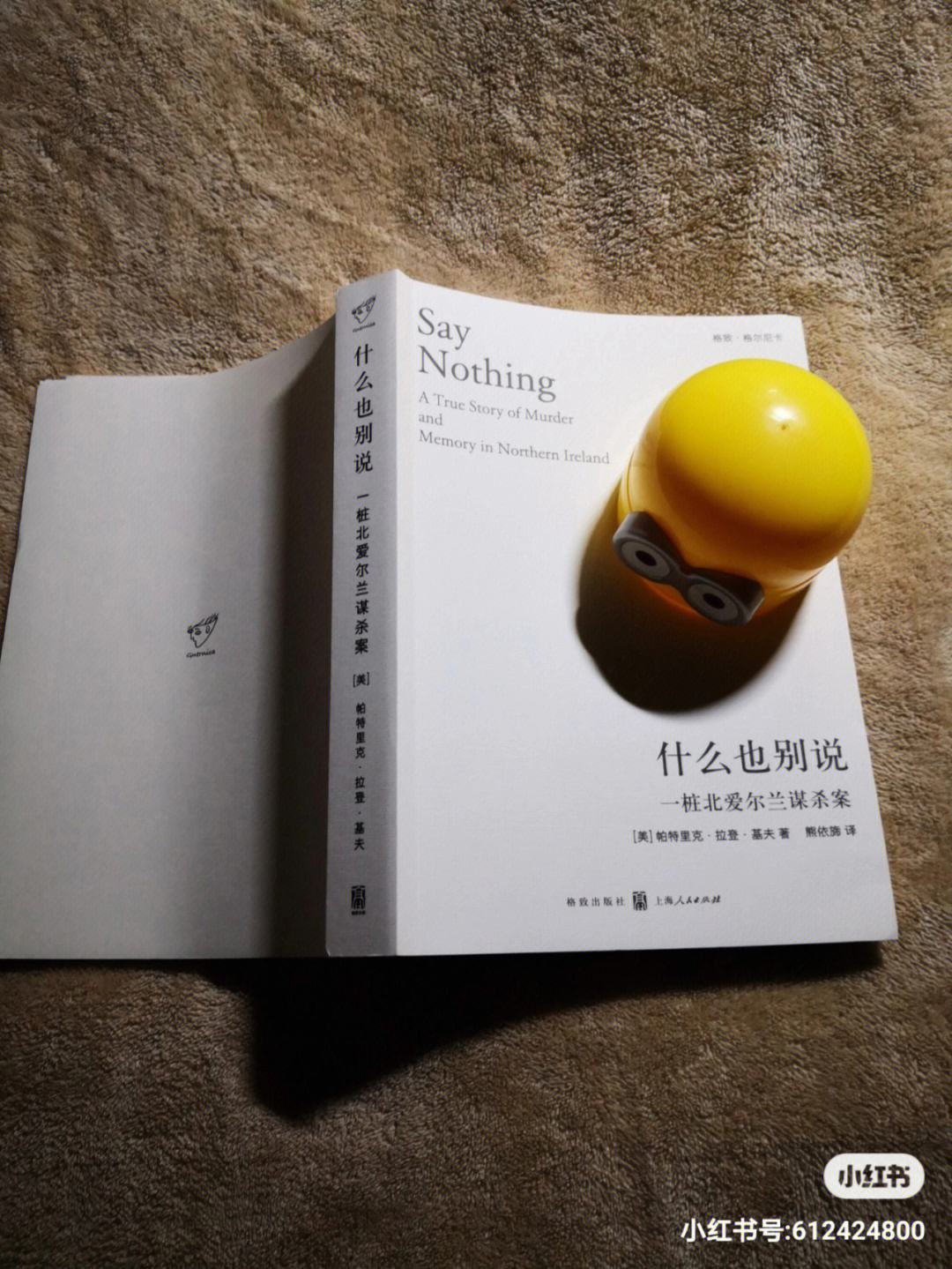 荷兰-小胜北爱尔兰，保持领先优势